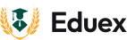 Nyota Driving School logo